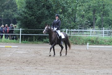 Bild 458 - WBO-Turnier am 18.9.11